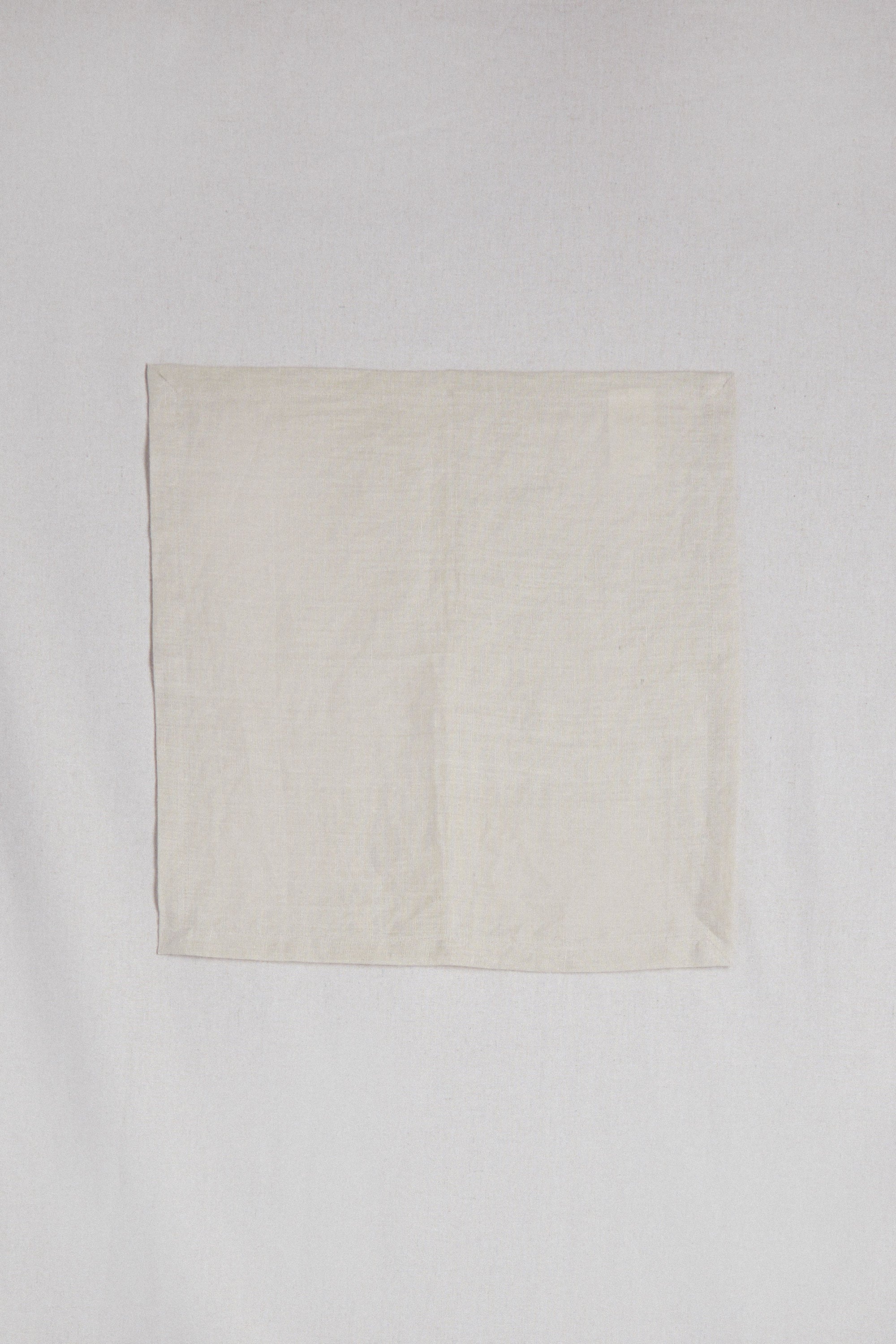 LINEN NAPKINS SET OF 2 Best Place For Sale