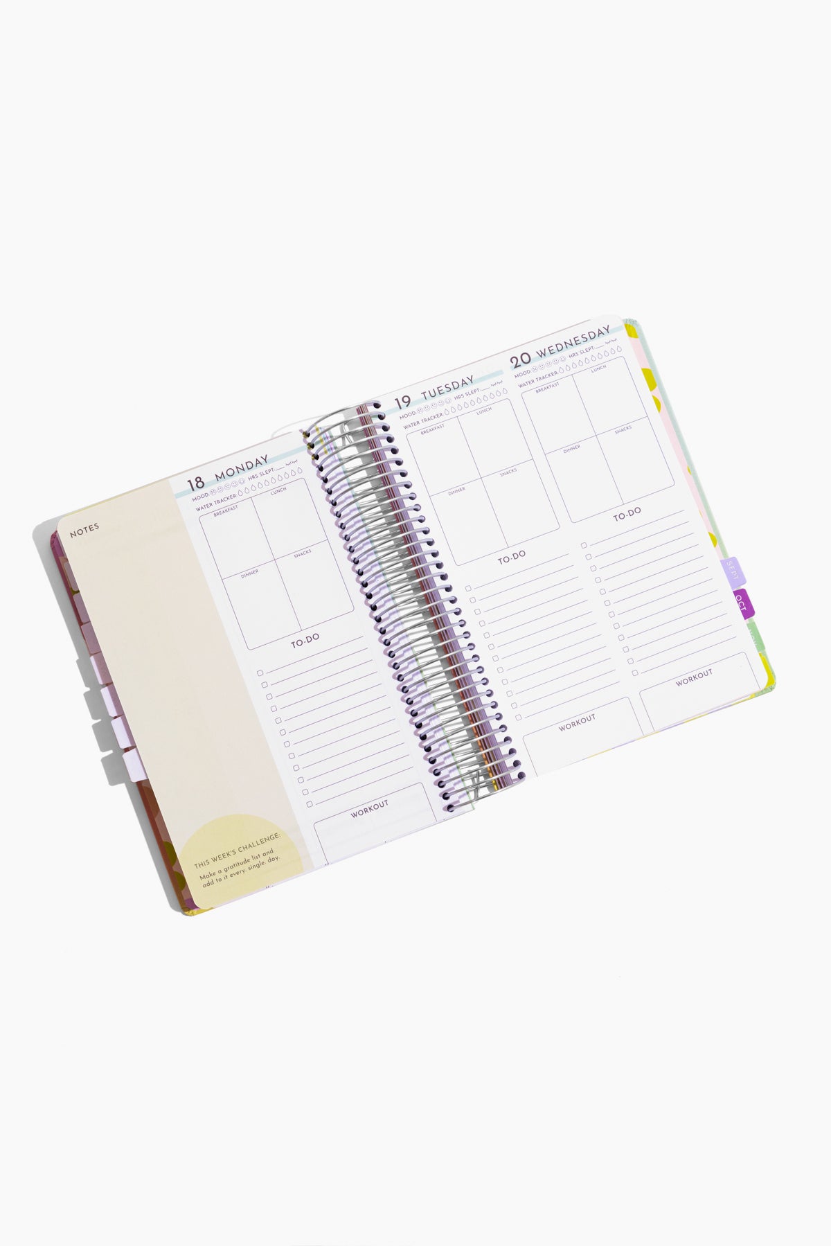 2025 Fit Planner - Rainbow Gradient Latest Collections Online