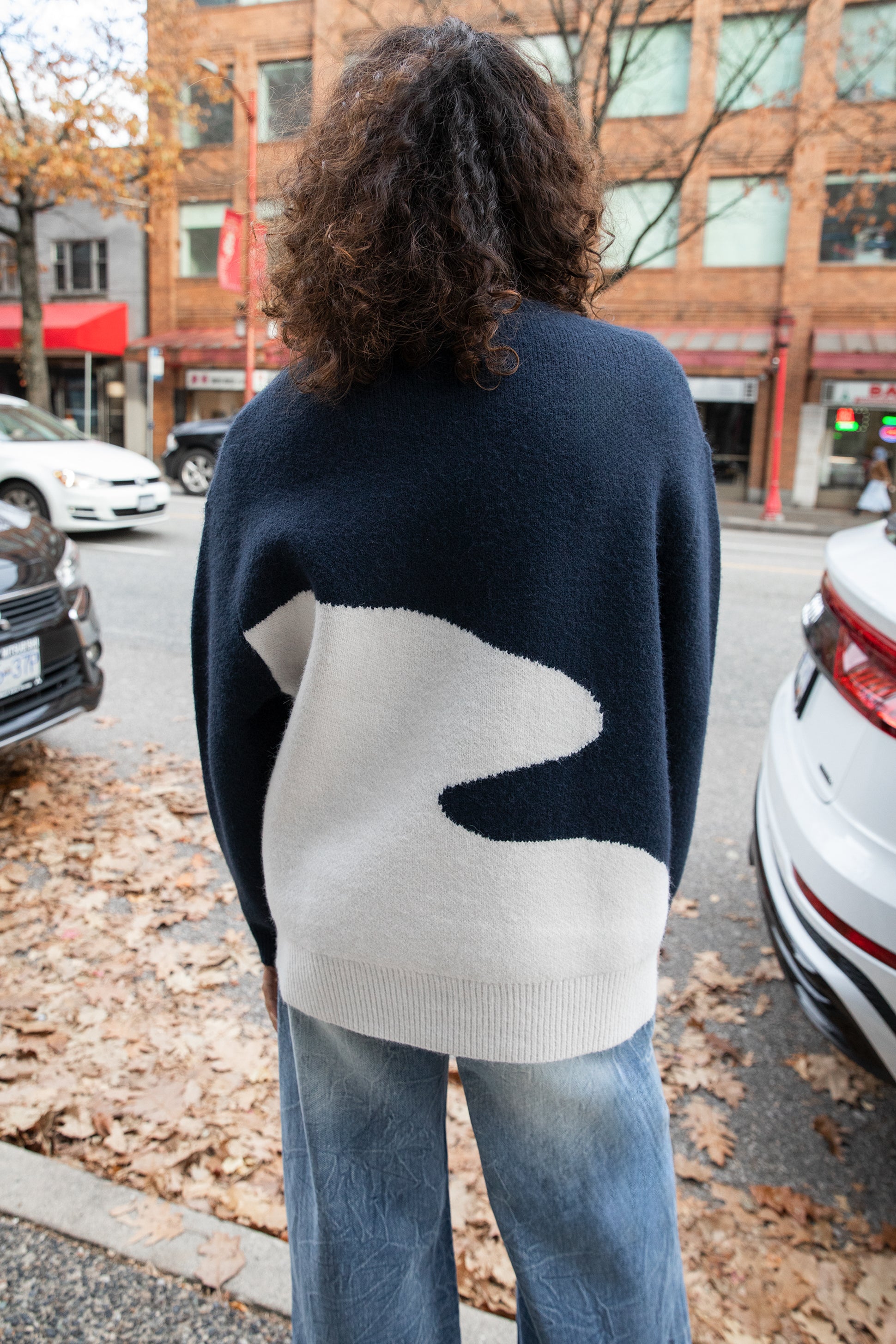 OVERSIZED INTARSIA KNIT SWEATER Discount Outlet Locations