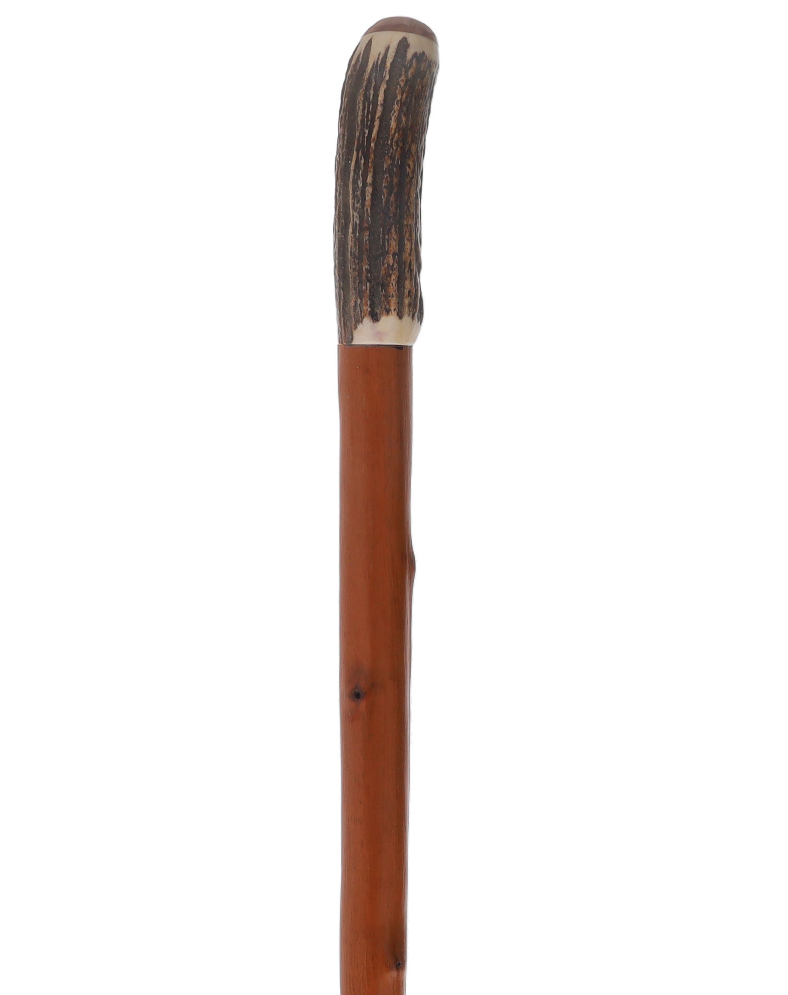 Rare Collector's Piece Listing: Comoy's Real Horn knob cane w/ natural chestnut shaft Free Shipping Manchester Great Sale