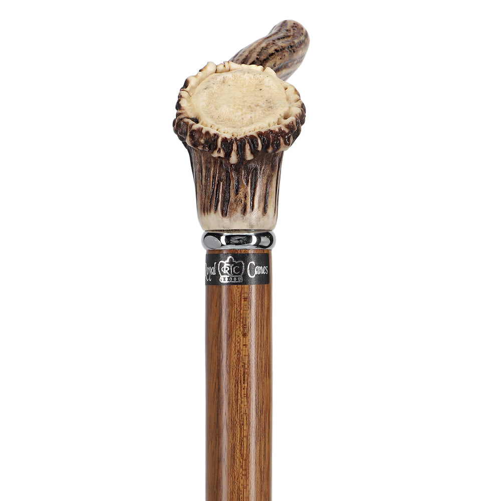 Exclusive Genuine Deer Stag Horn Cane with Ovangkol Wood Shaft Professional Online