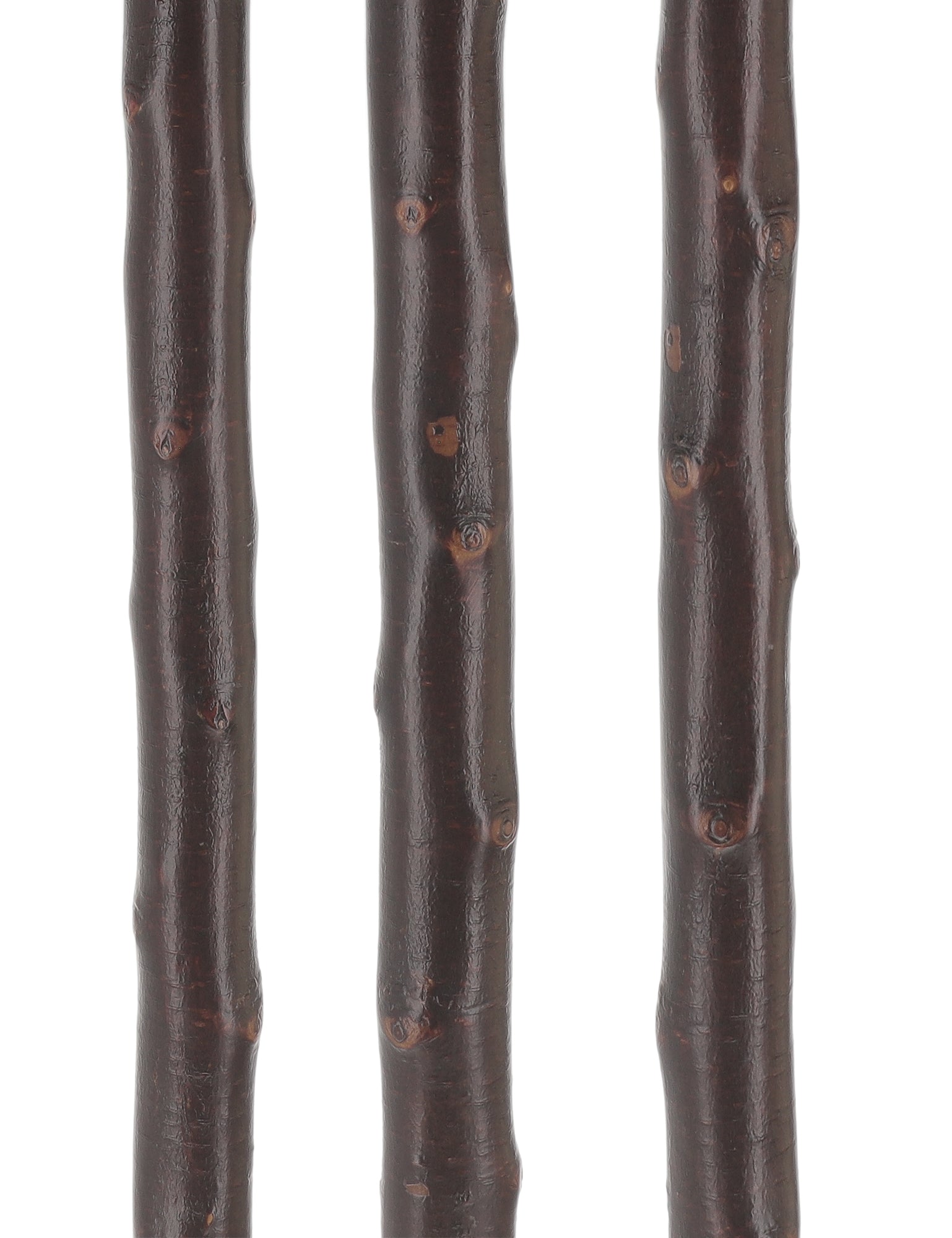 Irishman's Blackthorn Cane: Nature-Designed Walking Stick Sale 2025