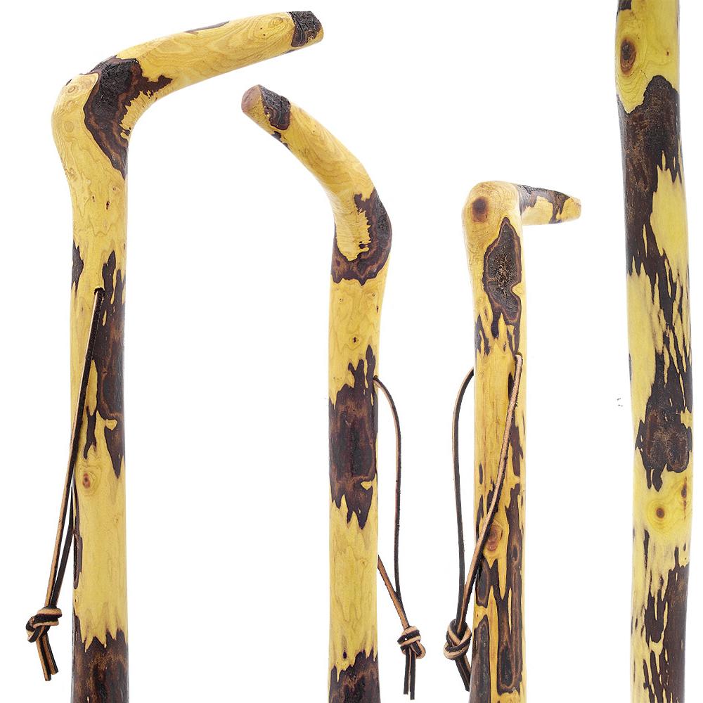 Hawthorne Natural Root Walking Cane Buy Online