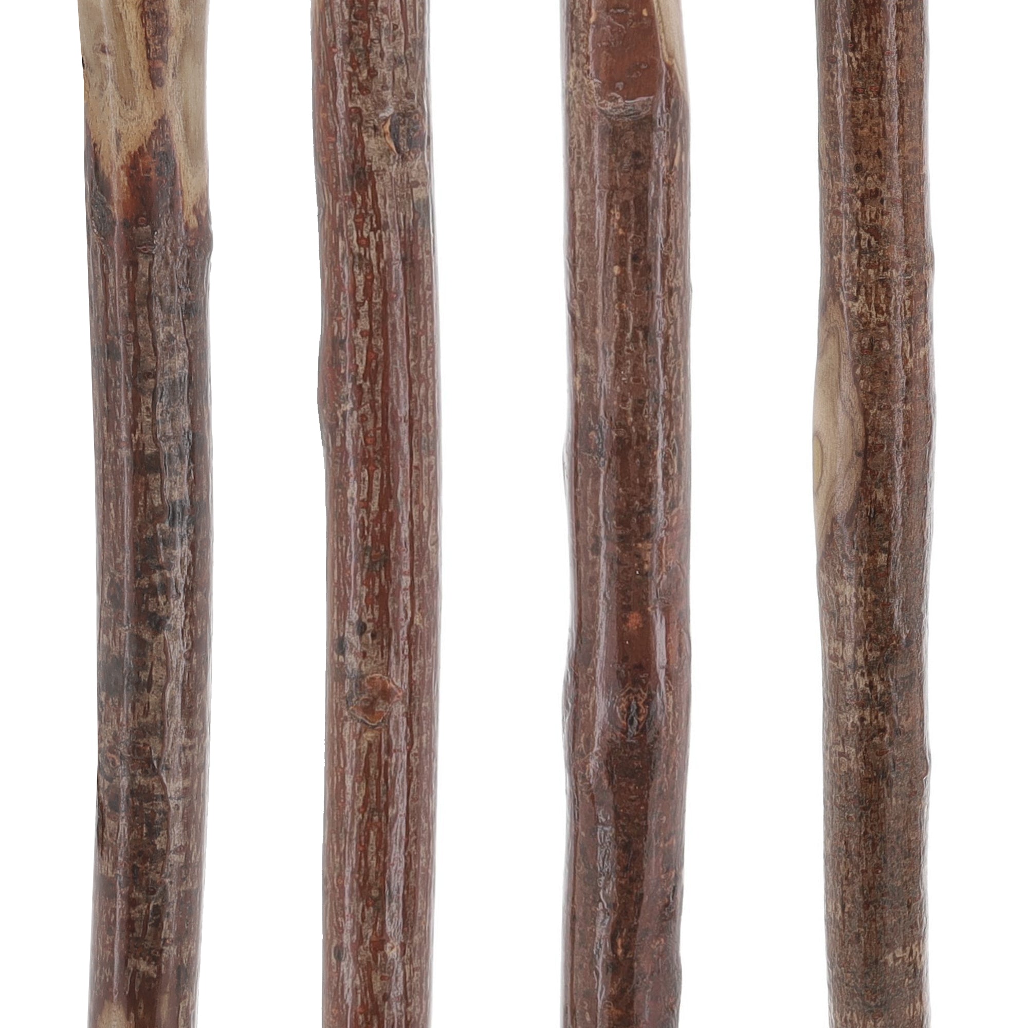 Scratch and Dent Natural Sumac Root Cane: Earth-Inspired, Rustic Design V2388 Cheap Explore