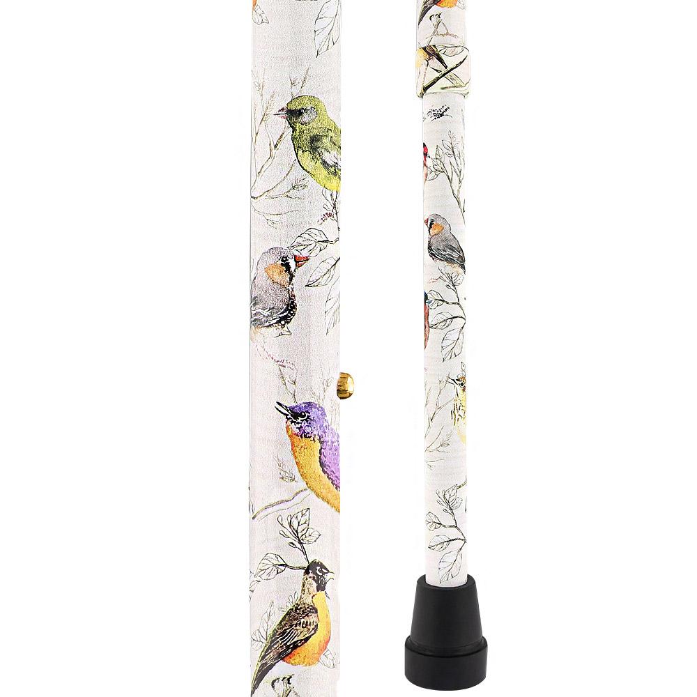 Watercolor Bird Offset Cane New Arrival Cheap Online