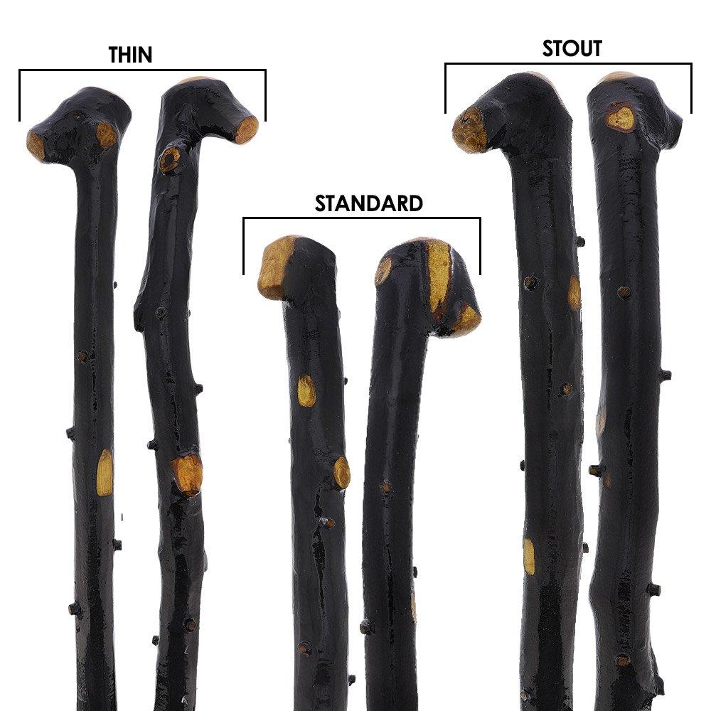 Irish Import: Genuine Blackthorn Stick with Thorn Bumps Shop For Sale
