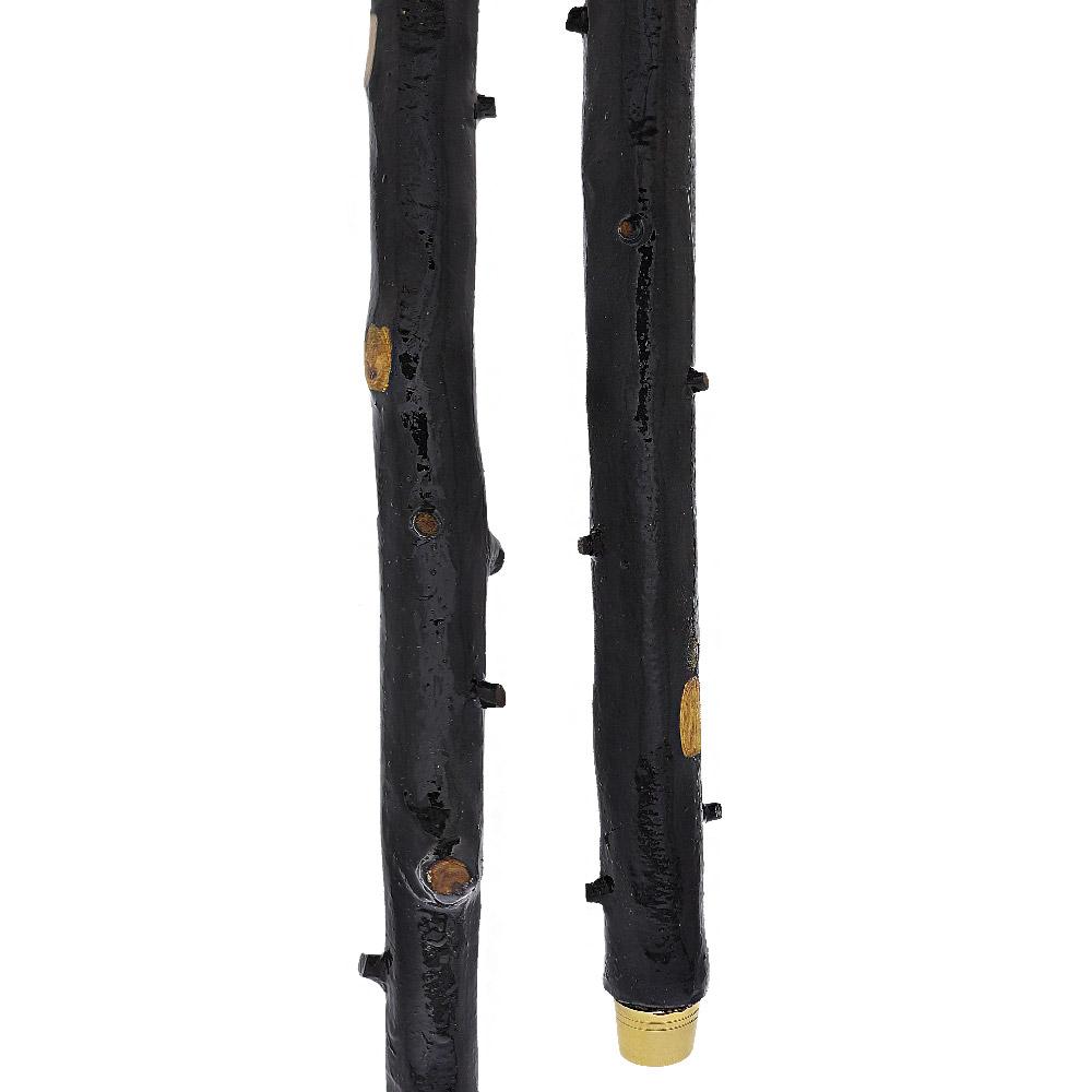 Irish Import: Genuine Blackthorn Stick with Thorn Bumps Shop For Sale