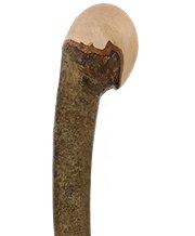 Hazel wood stout knob stick Outlet Cheap Pice