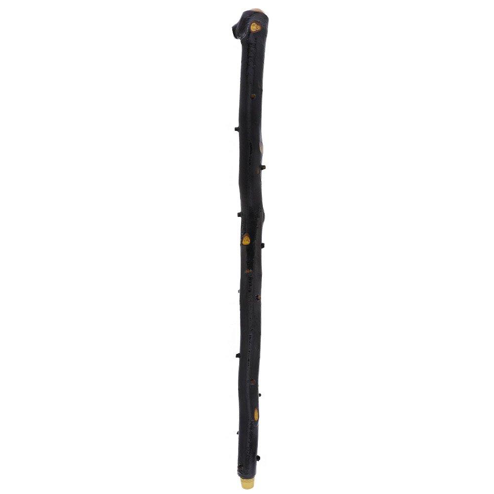 Irish Import: Genuine Blackthorn Stick with Thorn Bumps Shop For Sale