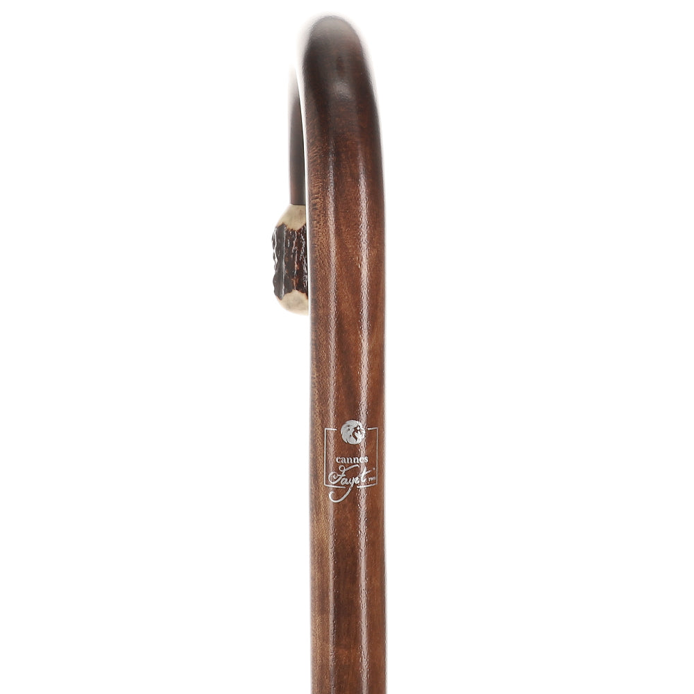 French Stag Horn Tourist Walking Cane: Dark Maple Shaft Affordable Cheap Pice