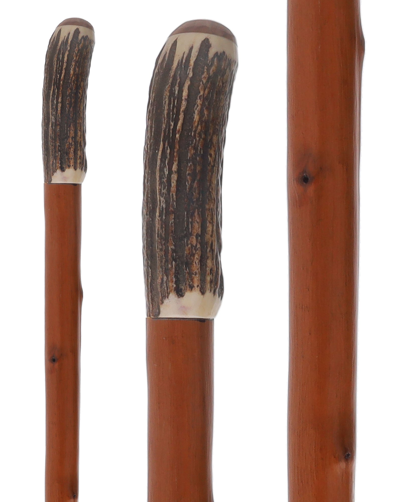 Rare Collector's Piece Listing: Comoy's Real Horn knob cane w/ natural chestnut shaft Free Shipping Manchester Great Sale