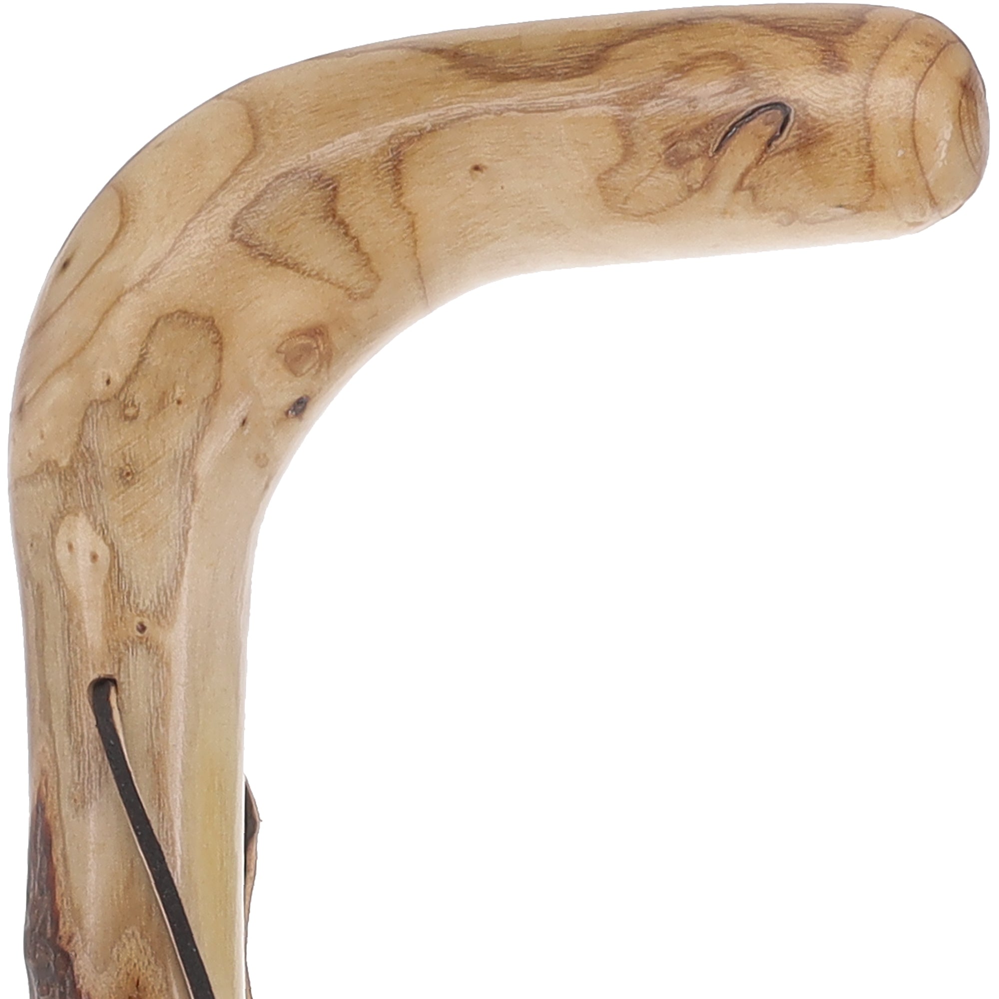 Scratch and Dent Natural Sumac Root Cane: Earth-Inspired, Rustic Design V2388 Cheap Explore