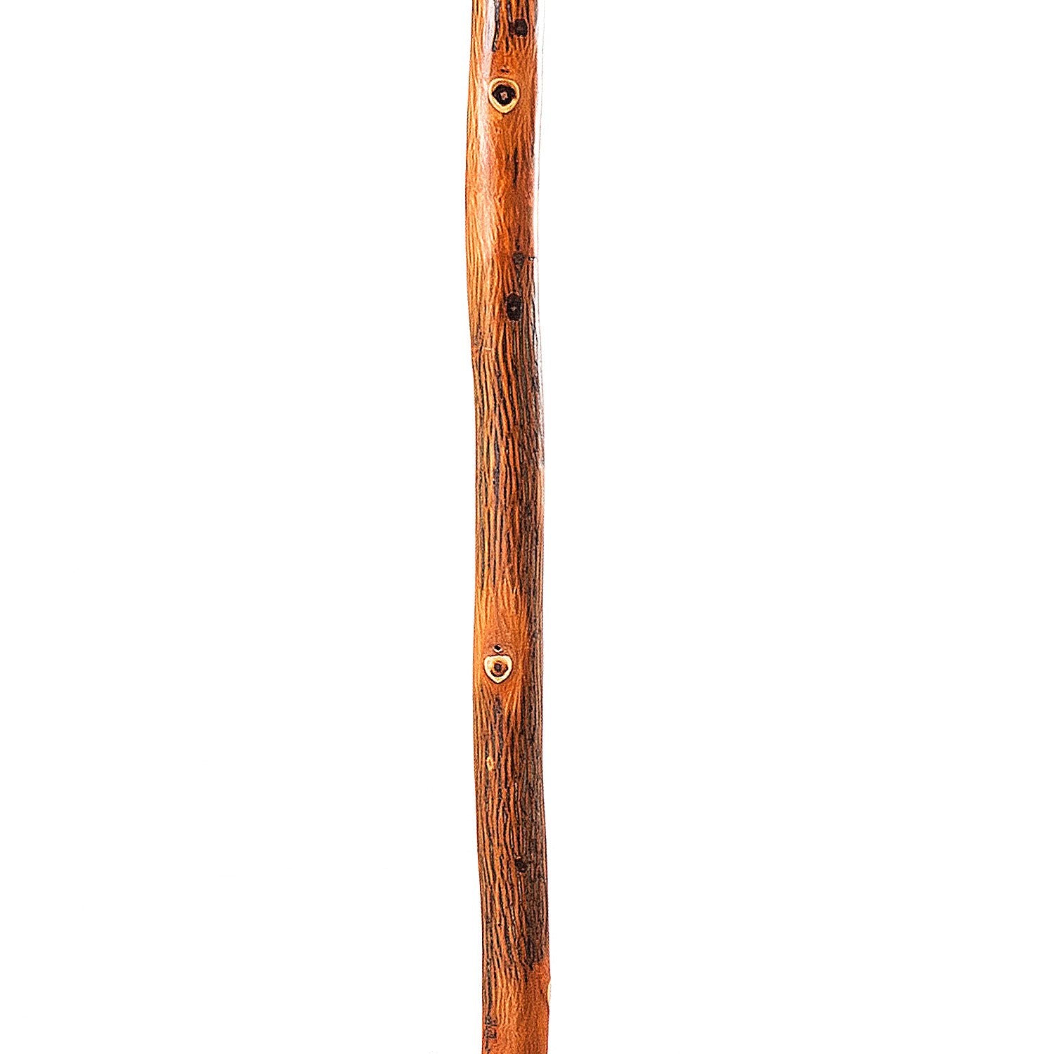 Layered Natural Hiking Staff Limited Edition