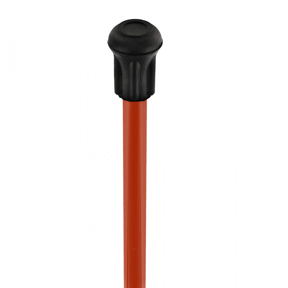 Lady Bug Lola Signature Carbon Fiber Walking Cane - 1 Red Shaft Cheap Websites