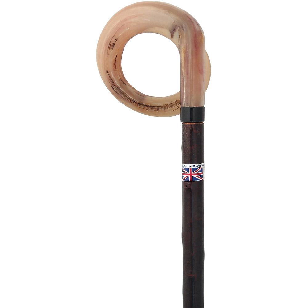 Curly Rams horn Handle Hiking Staff With Blackthorn wood Shaft Discount Low Shipping Fee