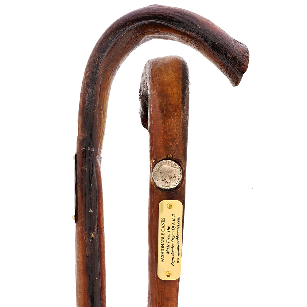 Bull Organ Tourist Handle Walking Cane Sale Genuine