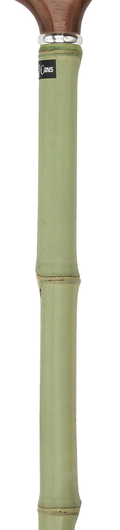 Scratch and Dent Walnut Stained Beechwood Derby Walking Cane With Green Bamboo Shaft and Silver Collar V2141 Free Shipping Fashion Style