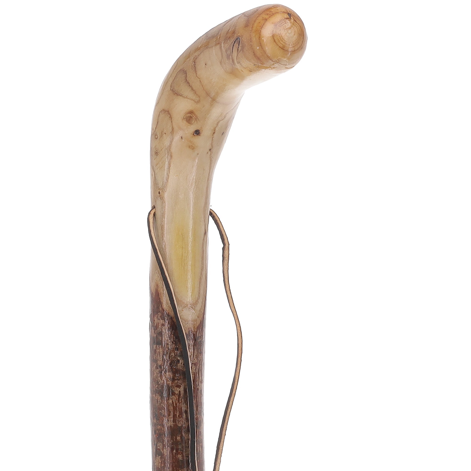Scratch and Dent Natural Sumac Root Cane: Earth-Inspired, Rustic Design V2388 Cheap Explore