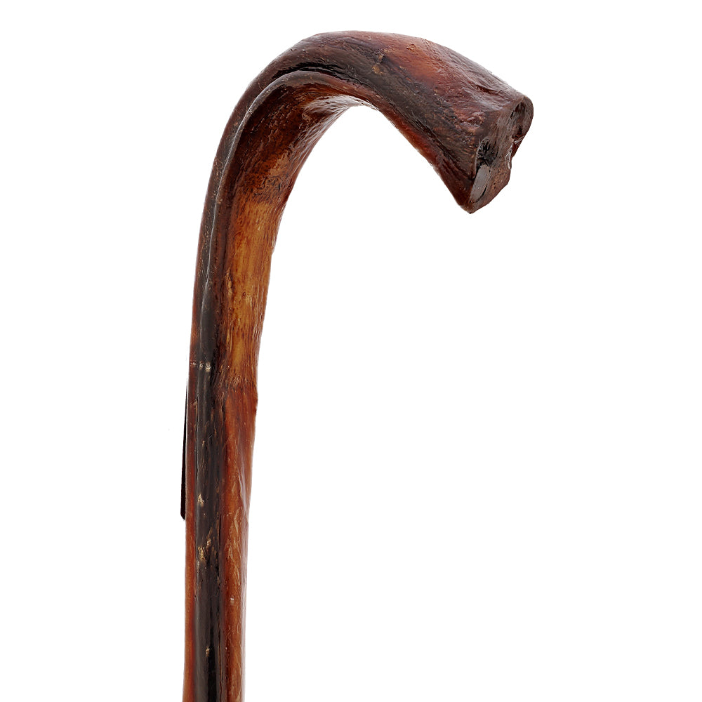 Bull Organ Tourist Handle Walking Cane Sale Genuine