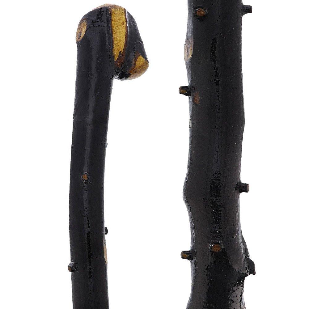 Irish Import: Genuine Blackthorn Stick with Thorn Bumps Shop For Sale