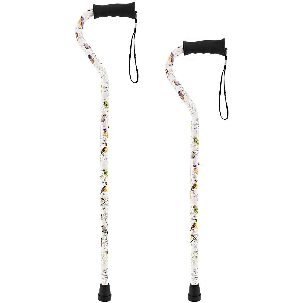 Watercolor Bird Offset Cane New Arrival Cheap Online