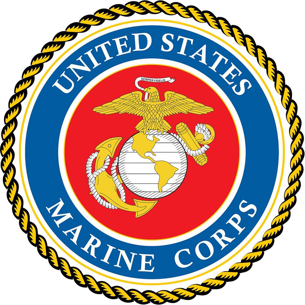 Scratch and Dent U.S. Marine Corps Flat Top Walking Stick With Black Beechwood Shaft and Pewter Collar V2002 Good Selling Cheap Online