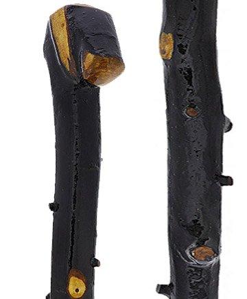 Irish Import: Genuine Blackthorn Stick with Thorn Bumps Shop For Sale