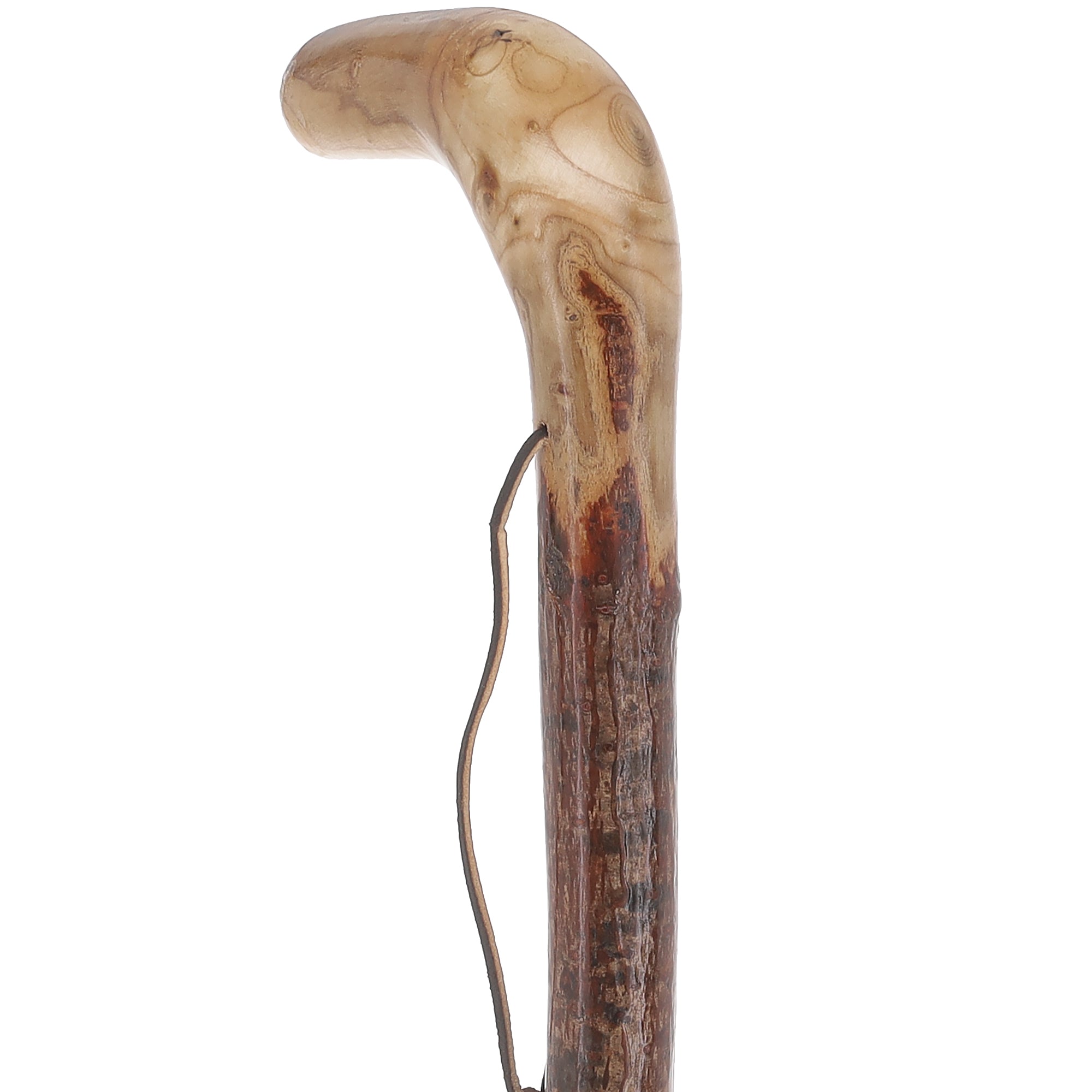 Scratch and Dent Natural Sumac Root Cane: Earth-Inspired, Rustic Design V2388 Cheap Explore