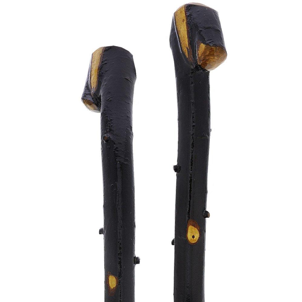 Irish Import: Genuine Blackthorn Stick with Thorn Bumps Shop For Sale