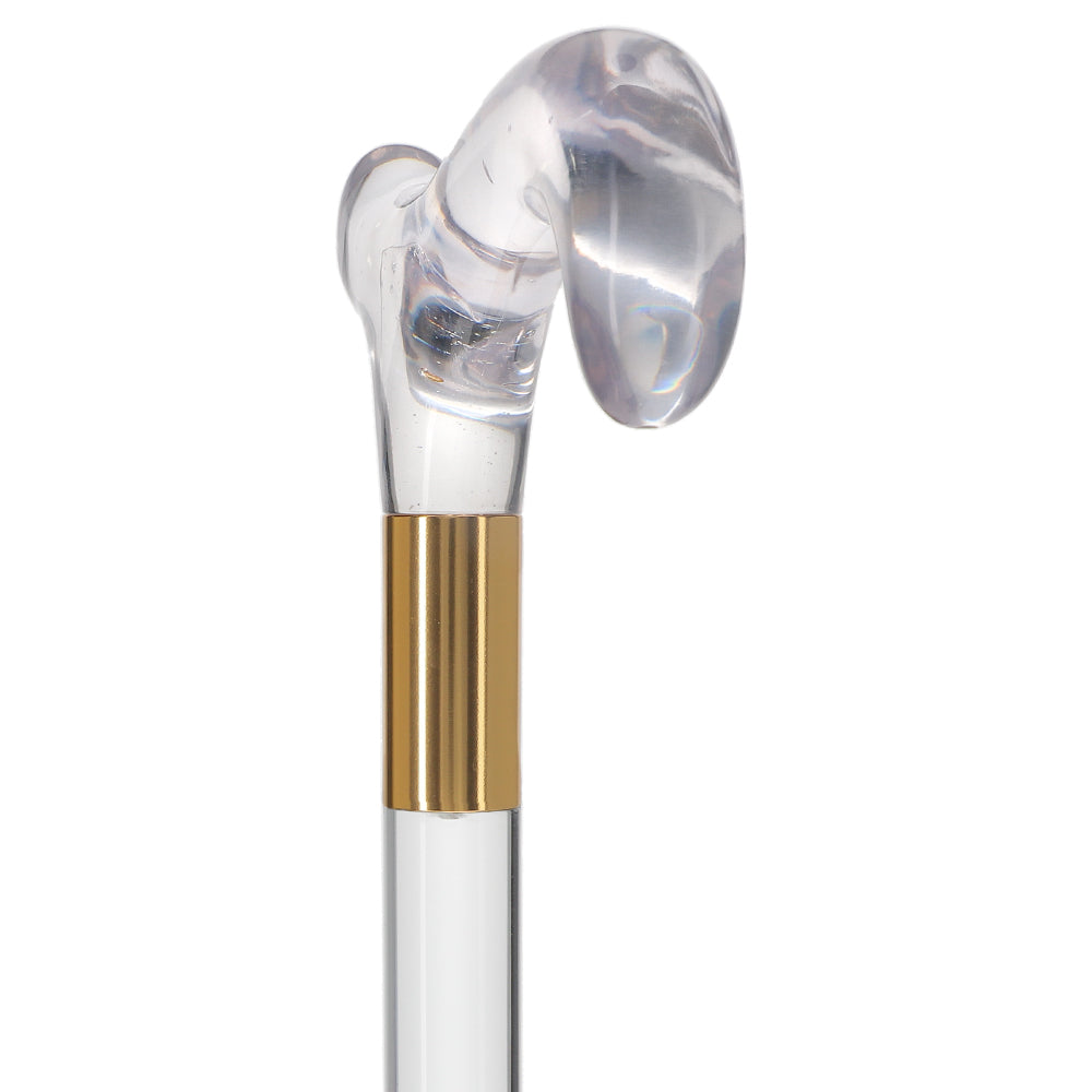 Elevate Style: Clear Lucite Cane with Customizable Collar Free Shipping Geniue Stockist